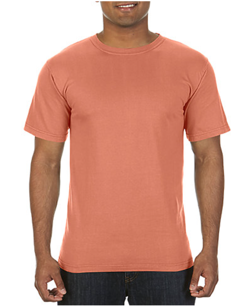 Comfort Colors Adult Lightweight Ring Spun Tee