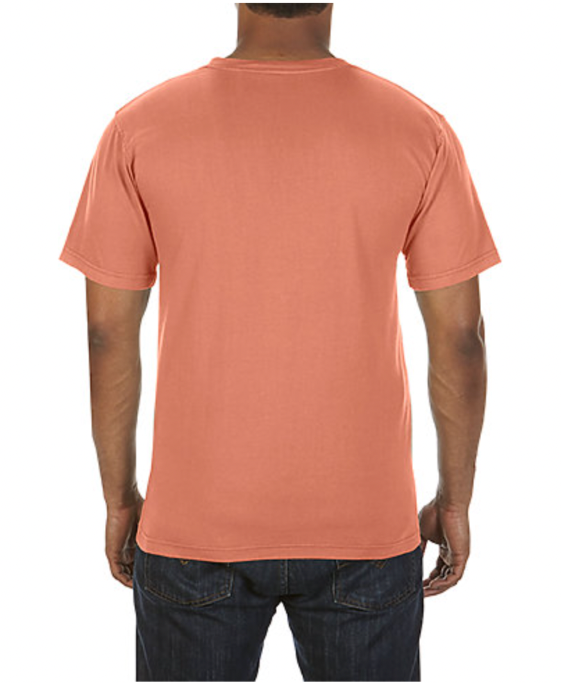 Comfort Colors Adult Lightweight Ring Spun Tee