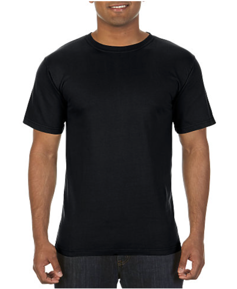 Comfort Colors Adult Lightweight Ring Spun Tee