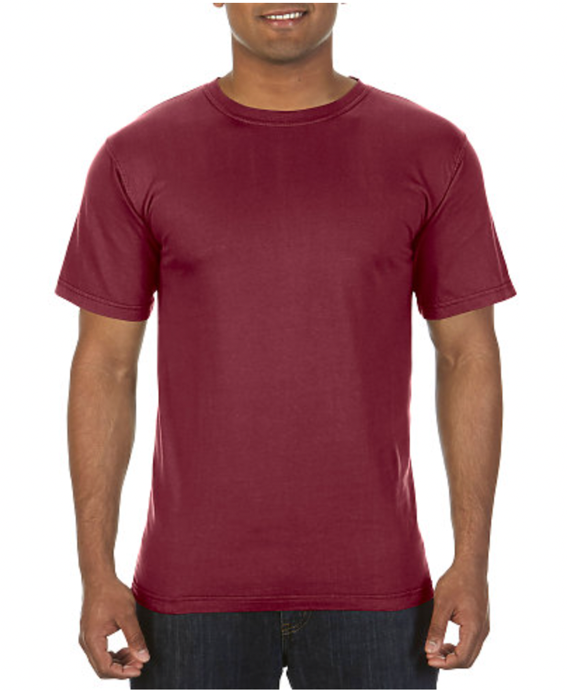 Comfort Colors Adult Lightweight Ring Spun Tee