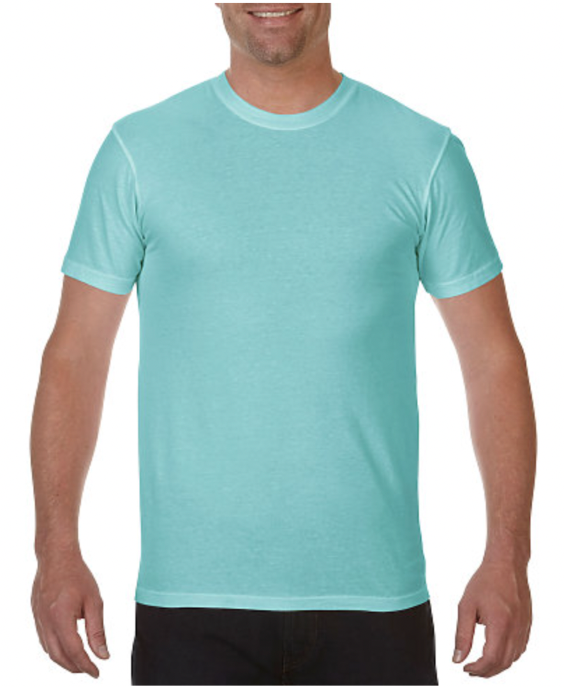 Comfort Colors Adult Lightweight Ring Spun Tee