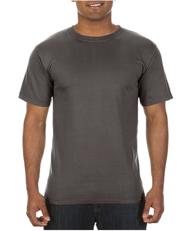 Comfort Colors Adult Lightweight Ring Spun Tee