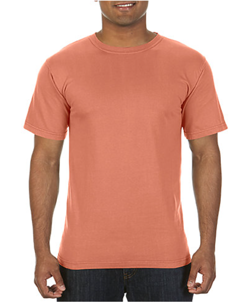 Comfort Colors Adult Lightweight Ring Spun Tee