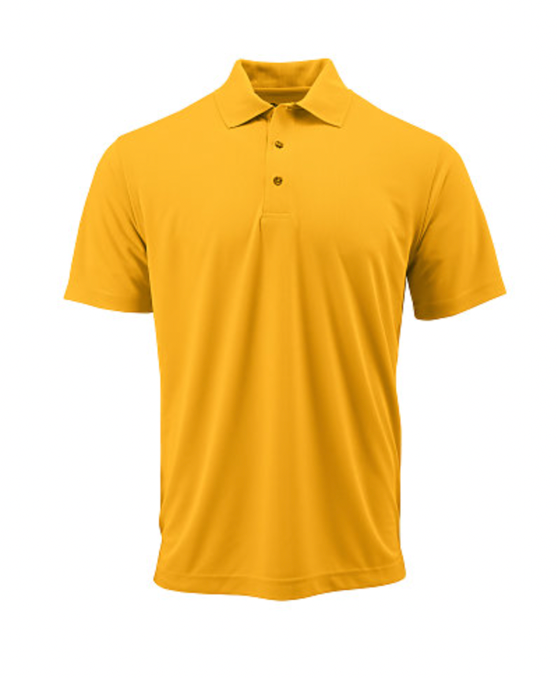 Paragon Saratoga Youth Mini Mesh Performance Polo