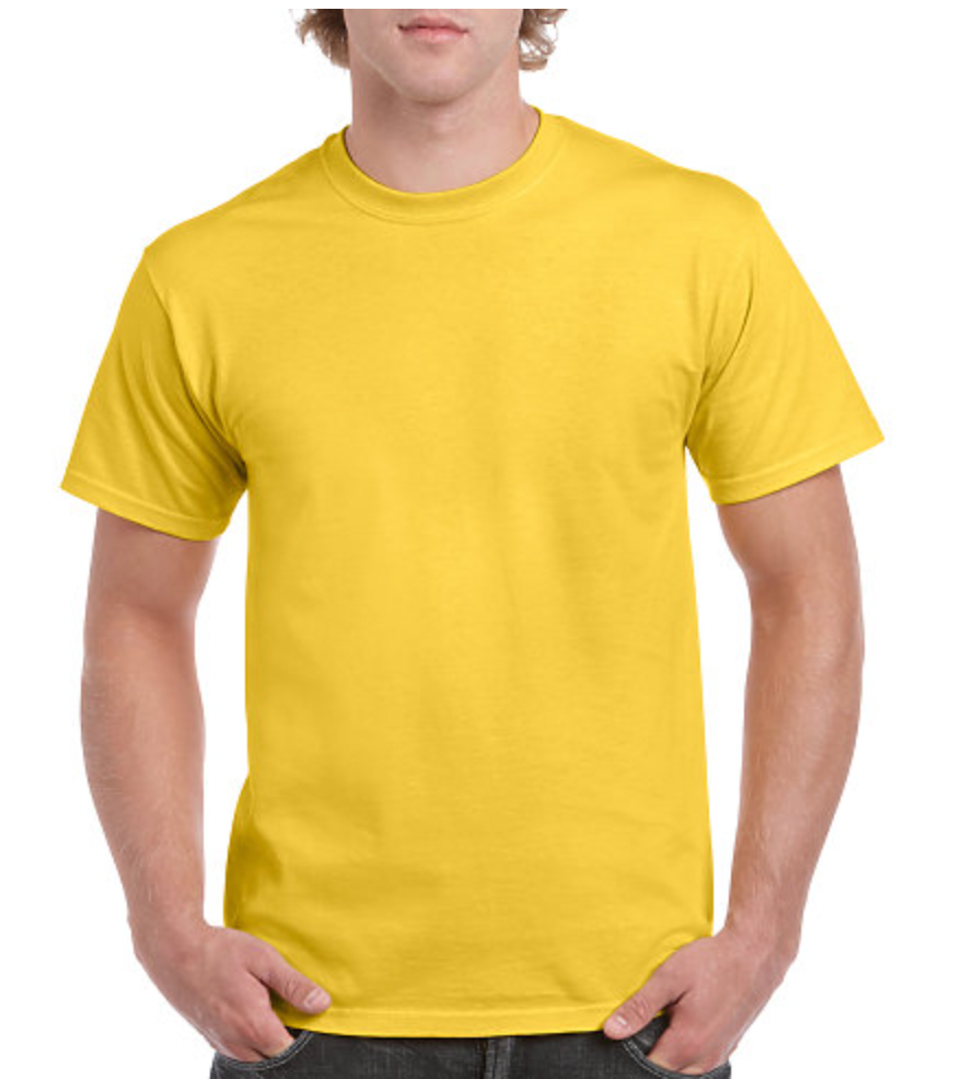 Gildan Heavy Cotton Adult T-Shirt