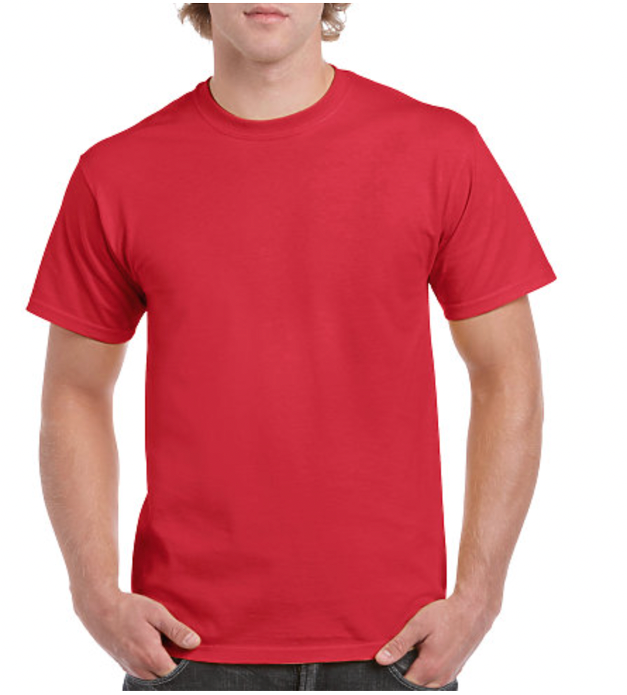 Gildan Heavy Cotton Adult T-Shirt