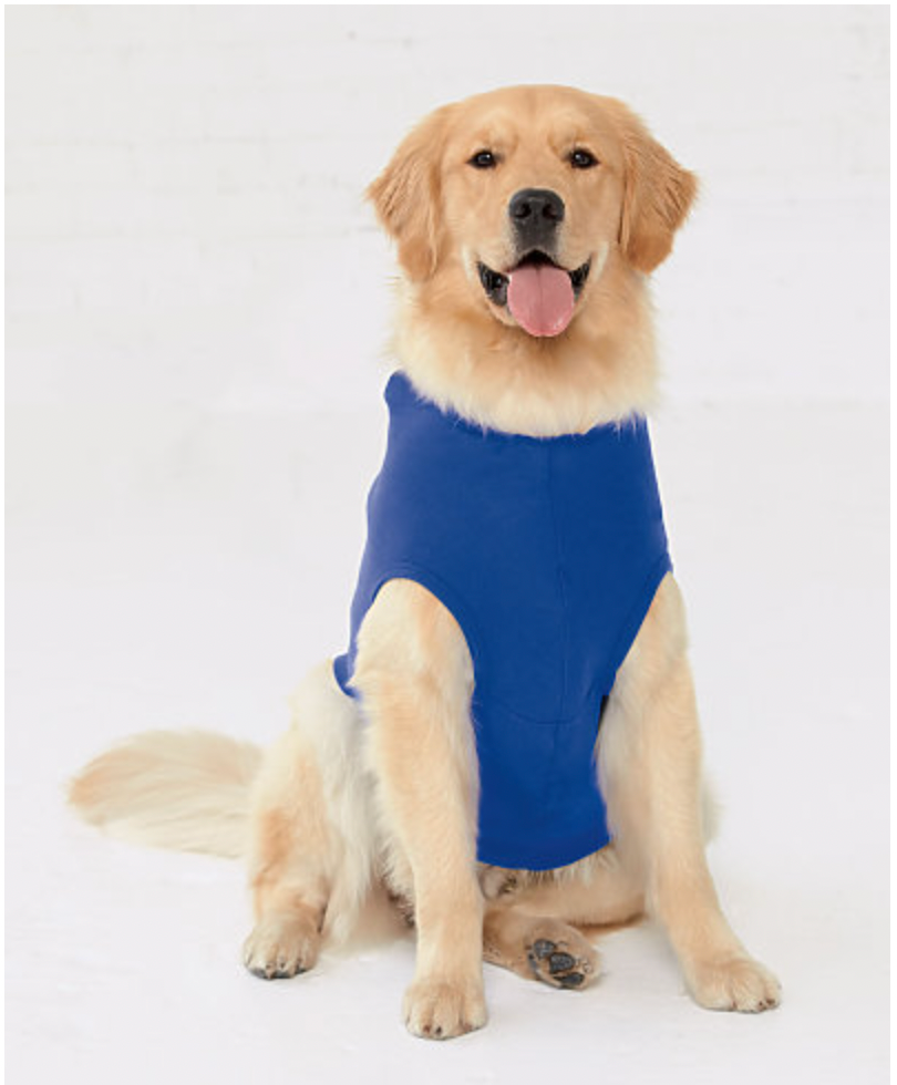 Doggie Skins Gameday Hoodie