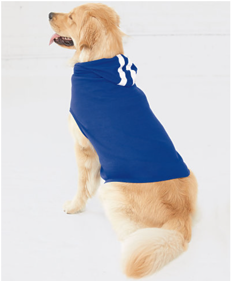 Doggie Skins Gameday Hoodie